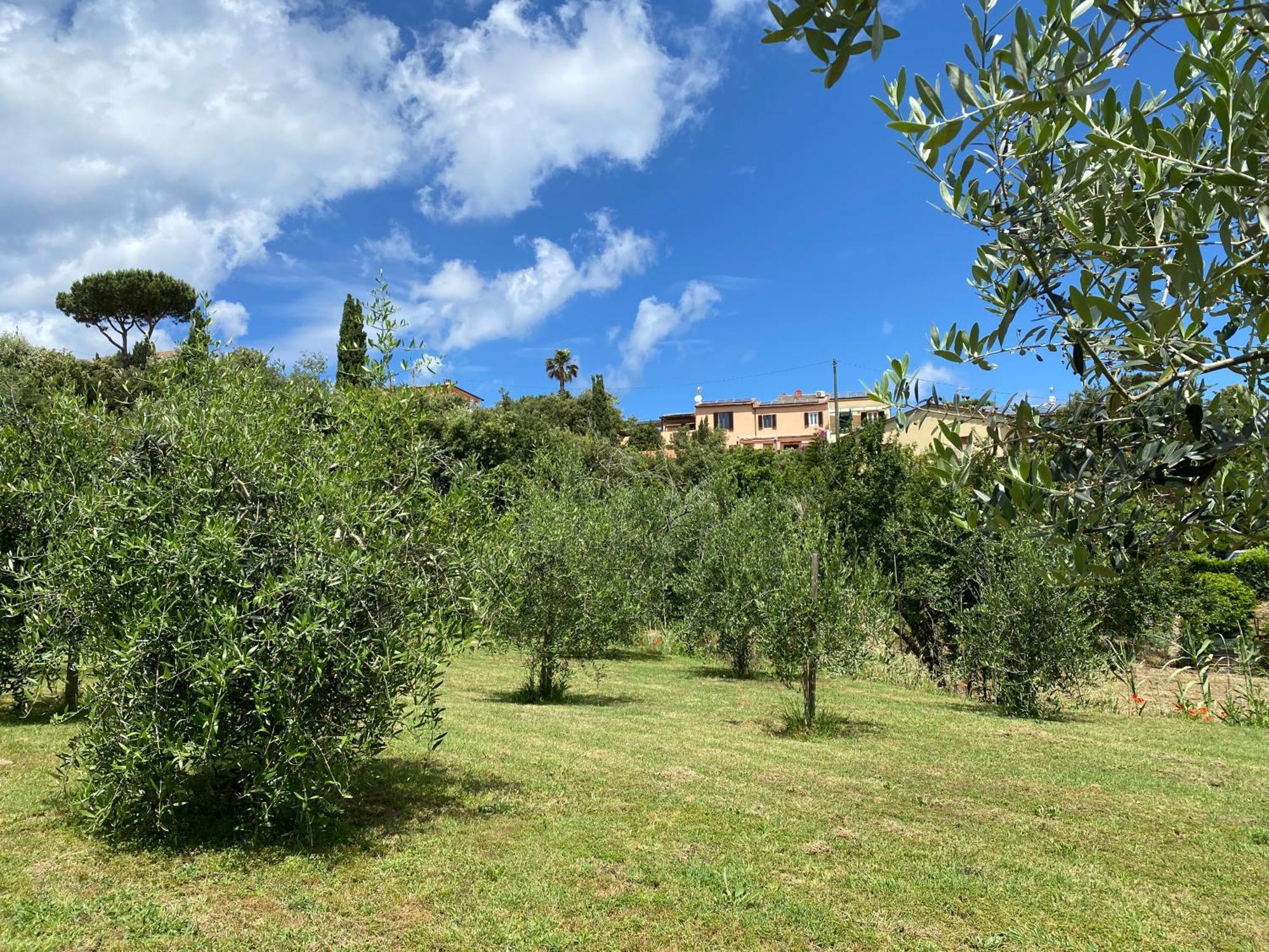 Belvedere Residenza Mediterranea Portoferraio Exterior foto